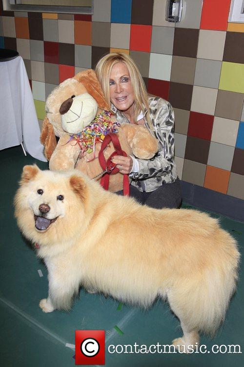 Goldie at the Pooch Hotel